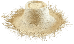 Catalina Palm Straw Hat In Natural Beige