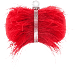 Women's Feather Embellished Minaudiere Clutch