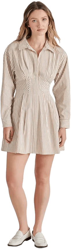 Women's Aria Striped Mini Shirt Dress