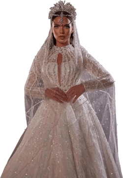 Nadia - Elegant, Long Sleeve Bridal Gown - Pearl Laced Bridal Gown