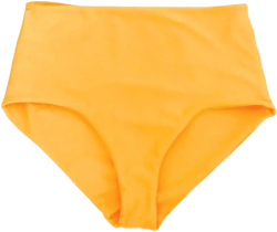 HIGH TIDE Classic Cut Coverage Bikini Bottom High Rise Seamless Reversible Brief Style Swimwear Women Fashion Trendy Bathing Suit