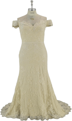 Champagne Lace Mother Of the Groom Dresses, Sweetheart Mother Of Bride Dresses Long, Formal Wedding Guest Dresses