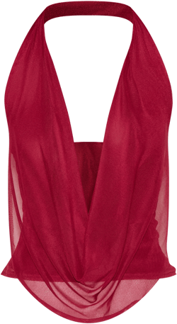 Deep Red Mesh Halter Neck Top