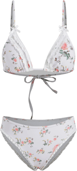 V-neck Floral Lace Trim Bowknot Triangle Cheeky Bikini Set