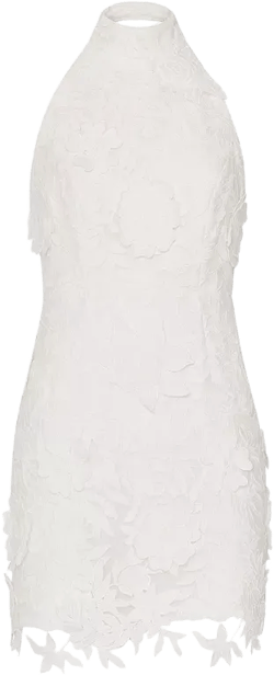 MILLY Olivia Rose Trellis Lace Dress