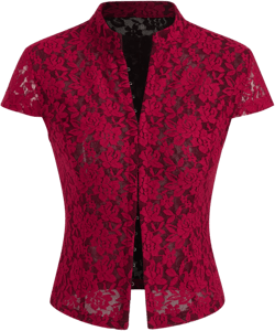 Stand Collar Lace Floral Hook And Eye Blouse