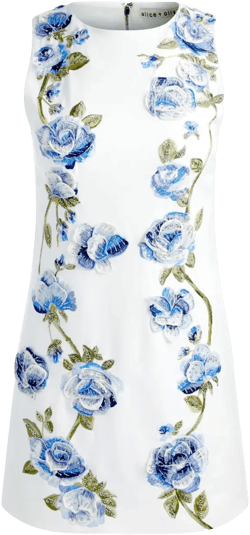 Clyde dress