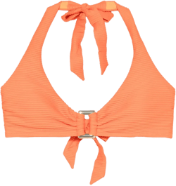 San Sebastian bikini top
