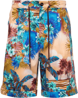 Hawaii-print chino shorts