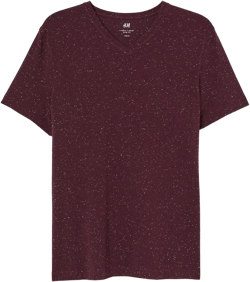 Slim Fit V-neck T-shirt