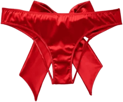 Adore Me Women's Gynger Bikini Panty