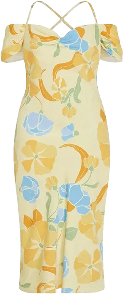 Plus Size Cady Print Dress