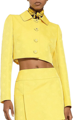 Dg Logo Cropped Jacket In Yellow