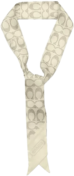 Textured Signature Print Silk Skinny Scarf
