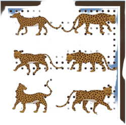 Double Sided Wool Silk Scarf Of Blue Leopards Garden