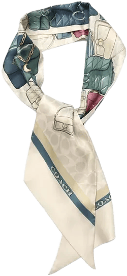 Stacked Tabby Bags Print Silk Skinny Scarf