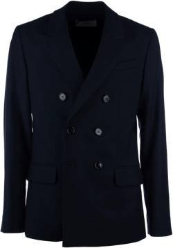 Dual Buttoned Blazer Notch Lapels In Navy Blue