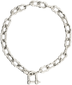 Charm Chain choker necklace