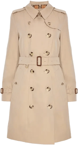 `chelsea` Trench Coat In Beige