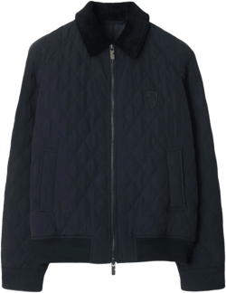 Logo-embroidered Padded Jacket In Blue