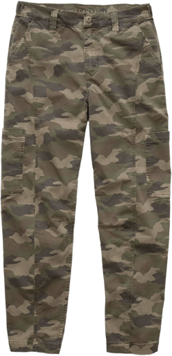 AE Stretch Barrel Cargo Pant