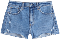 Curve Love High Rise Mom Short