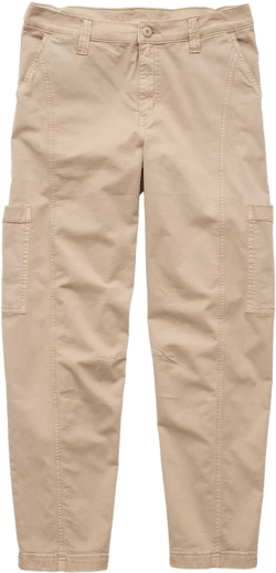 AE Stretch Barrel Cargo Pant
