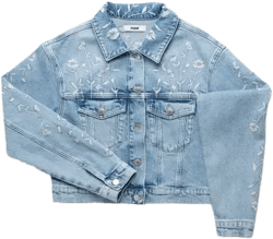 Harmony Floral Embroidered Crop Denim Jacket In Light Blue Bloom Denim