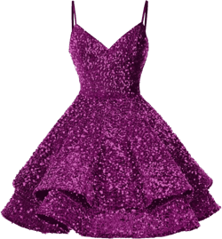 Sequin Homecoming Dresses for Teens Short Prom Dress 2025 Sparkly V Neck Formal Cocktail Party Dress Purple 14