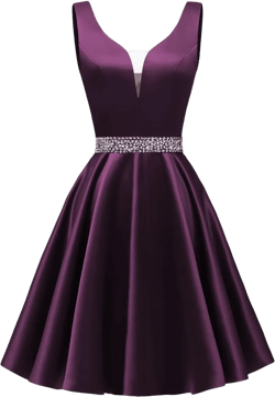 Satin Glitter Homecoming Dresses for Teens Short Prom Dress V-Neck Beaded Evening Formal Cocktail Party Gowns 10 Plum-satin