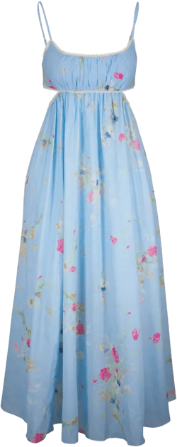 Lucky Picnic maxi dress