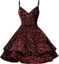 Sequin Homecoming Dresses for Teens Short Prom Dress 2025 Sparkly V Neck Formal Cocktail Party Dress Wine Red 12