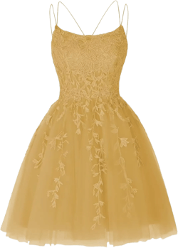 Spaghetti Strap Floral Applique Homecoming Dress for Teens Tulle Prom Formal Cocktail Dress for Women Wedding Guest Gold 20 Plus