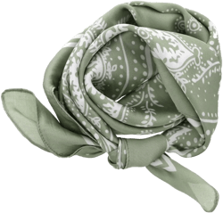 Silky Paisley Twilly Scarf, Sage