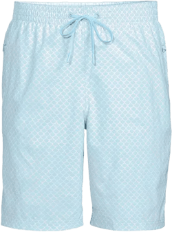 Men's 9" Volley Hydroliner Swim Trunks