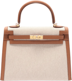 2024 Kelly 25 tote bag