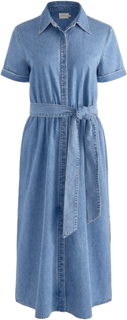 Chassidy shirt dress