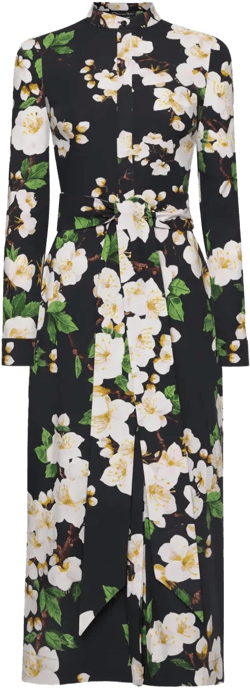 stretch-cotton dress