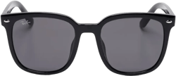 RB4401D sunglasses