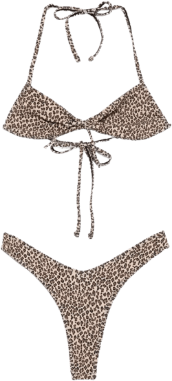 leopard-print bikini set