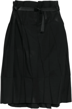 pleated skirt
