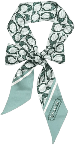 Women's Vintage Signature Print Silk Skinny Scarf