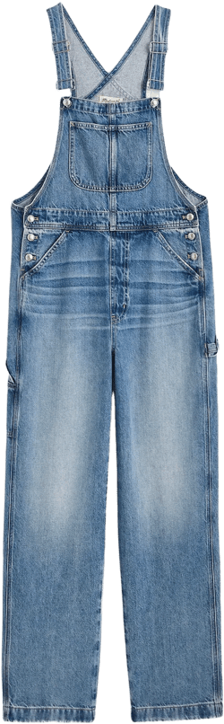 Denim Relaxed Carpenter Overalls in Lewisberg Wash