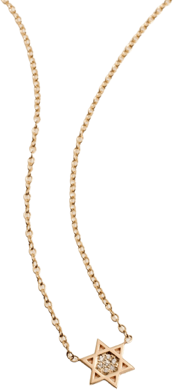 14k Midi Star of David Necklace