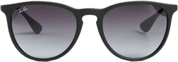 RB4171 Erika Sunglasses
