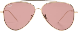 RBR0101S Reverse Aviator Sunglasses