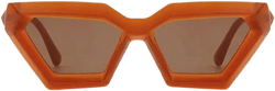 Alaia Polarized Sunglasses