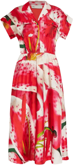 graphic-print midi dress
