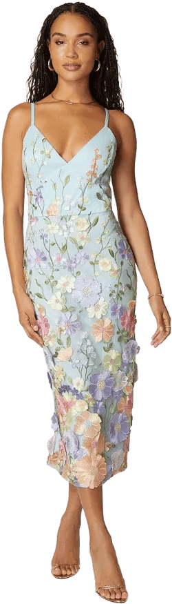 Women's Floral Embroidered Midi Dress