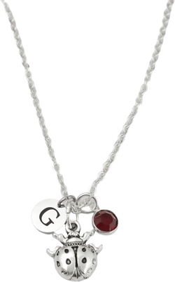 Ladybug Necklace - Antique Silver Insect Necklace - Monogram Personalized Initial and Birthstone